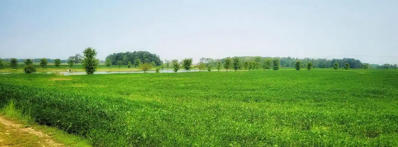 Photo 1 of Sale Pending at 1457 Rockland Hts Rd, De Pere, WI 54115 | MLS# 50333658 | Listing updated on 2026-10-08