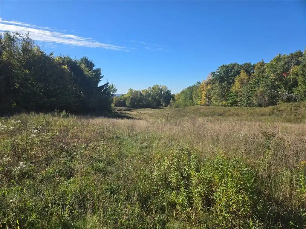 Photo 4 of Land for sale at 5 Acres 180th St, Chippewa Falls, WI 54729 | MLS# 1605697 | Listing updated on 2026-10-02