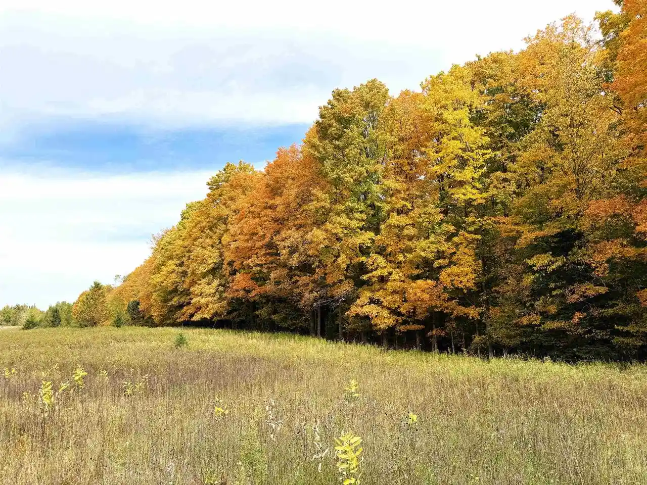 Photo 2 of Land for sale at State Hwy 64 E, Bryant, WI 54418 | MLS# 22604914 | Listing updated on 2026-10-02