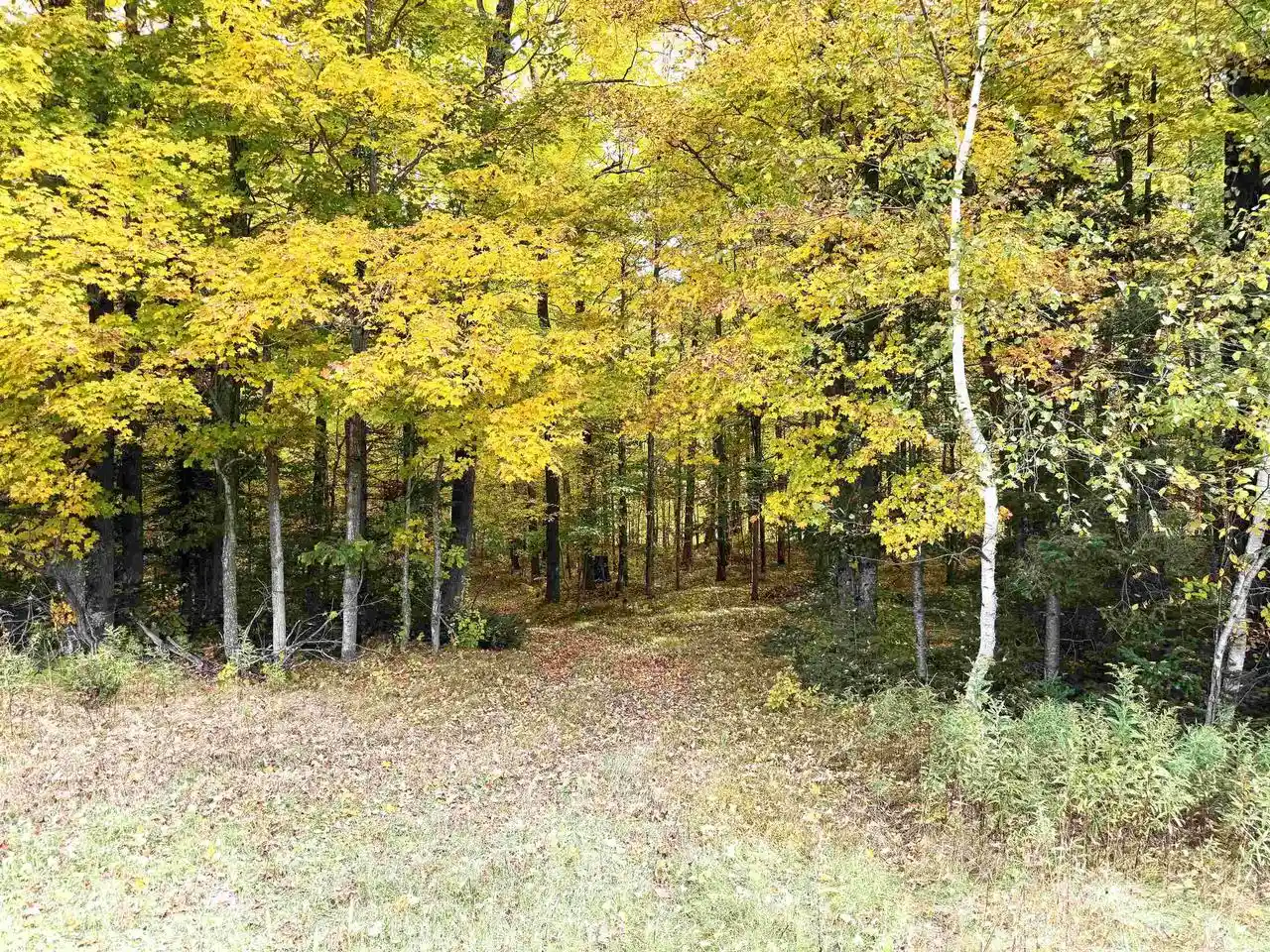 Photo 3 of Land for sale at State Hwy 64 E, Bryant, WI 54418 | MLS# 22604914 | Listing updated on 2026-10-02