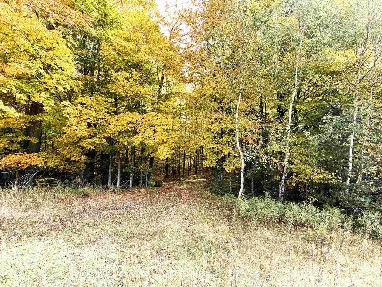 Photo 3 of Land for sale at State Hwy 64 E, Bryant, WI 54418 | MLS# 22604914 | Listing updated on 2026-10-02