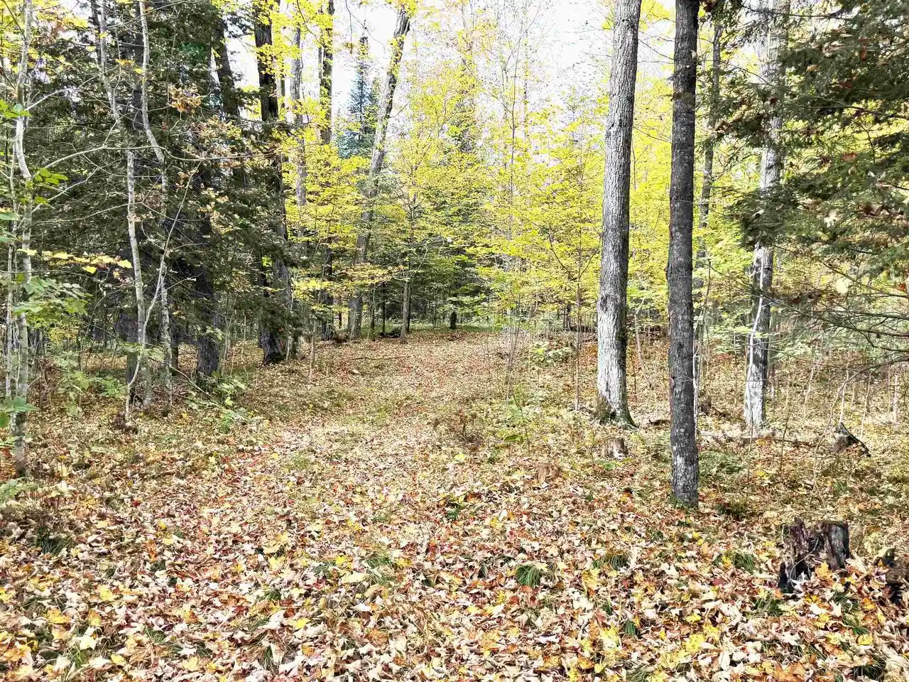 Photo 4 of Land for sale at State Hwy 64 E, Bryant, WI 54418 | MLS# 22604914 | Listing updated on 2026-10-02