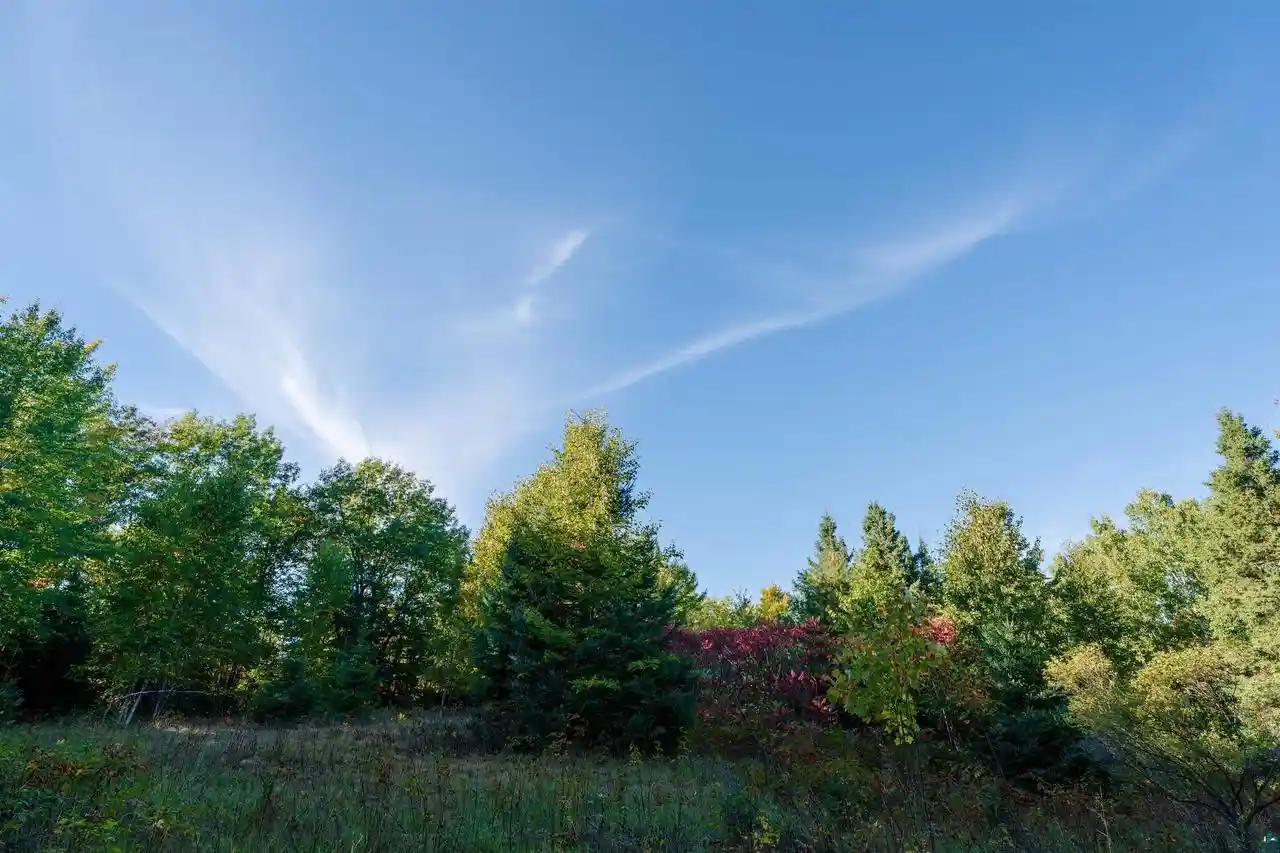 Photo 1 of Land for sale at 10 E Acres On White Birch Rd, Port Wing, WI 54865 | MLS# 6128312 | Listing updated on 2026-10-07