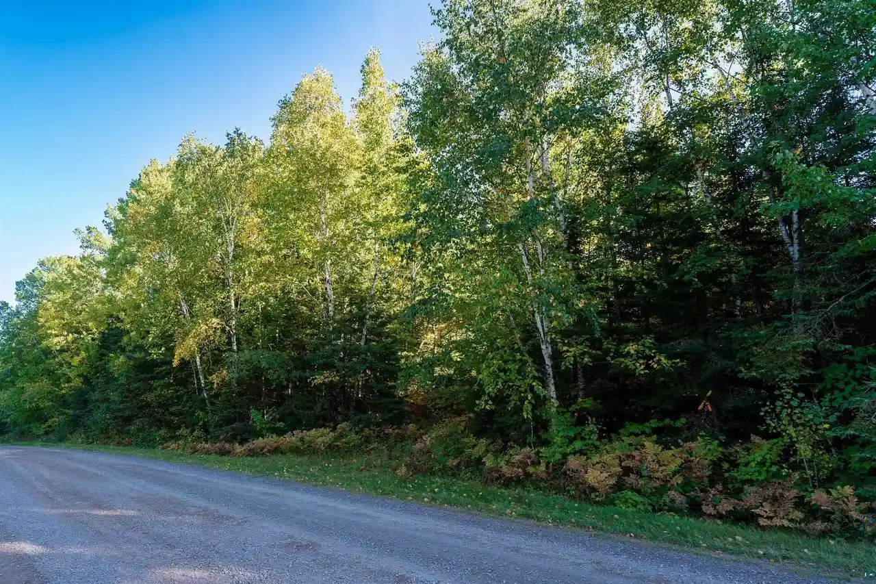 Photo 2 of Land for sale at 10 E Acres On White Birch Rd, Port Wing, WI 54865 | MLS# 6128312 | Listing updated on 2026-10-07