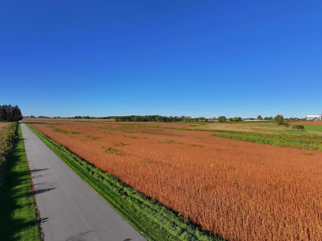 Photo 1 of Land for sale at 14821� Acres Hughes Rd, Waterloo, WI 53594 | MLS# 2033946 | Listing updated on 2026-10-05