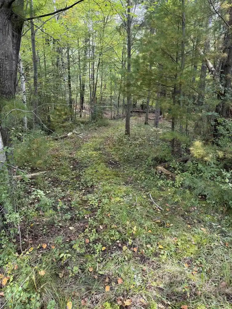 Photo 1 of Land for sale at 000 County Rd Q, Wisconsin Rapids, WI 54495 | MLS# 22604921 | Listing updated on 2026-10-03