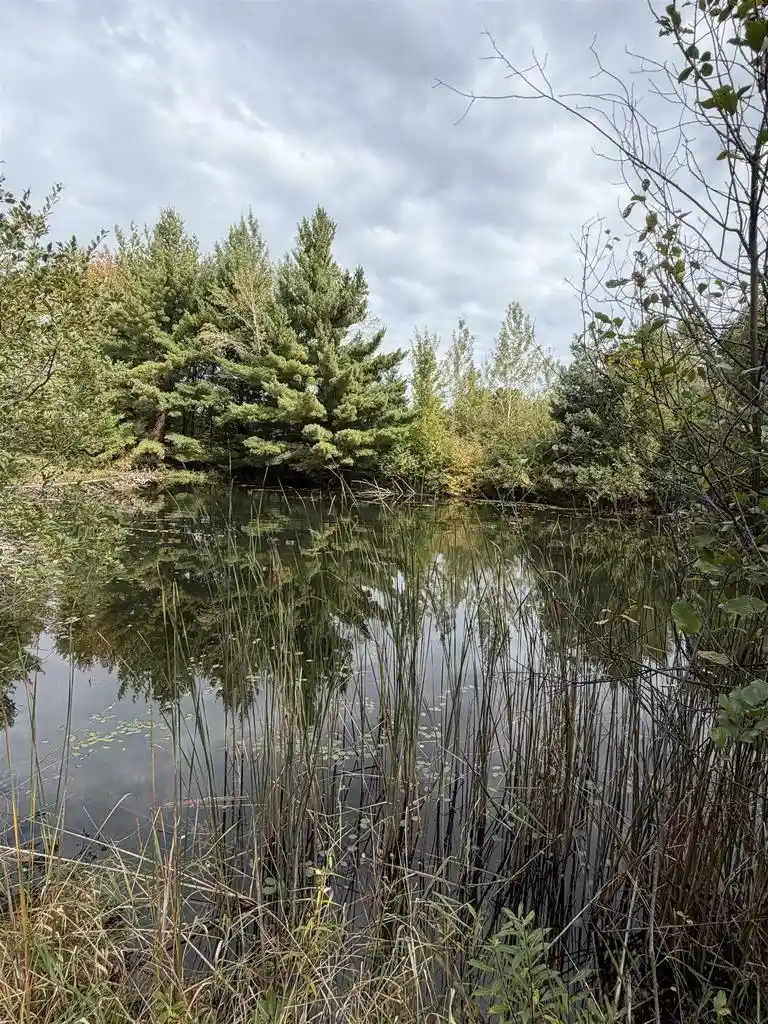 Photo 3 of Land for sale at 000 County Rd Q, Wisconsin Rapids, WI 54495 | MLS# 22604921 | Listing updated on 2026-10-03