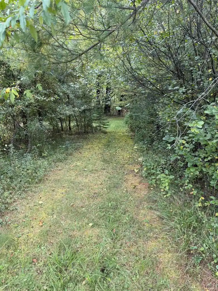 Photo 4 of Land for sale at 000 County Rd Q, Wisconsin Rapids, WI 54495 | MLS# 22604921 | Listing updated on 2026-10-03