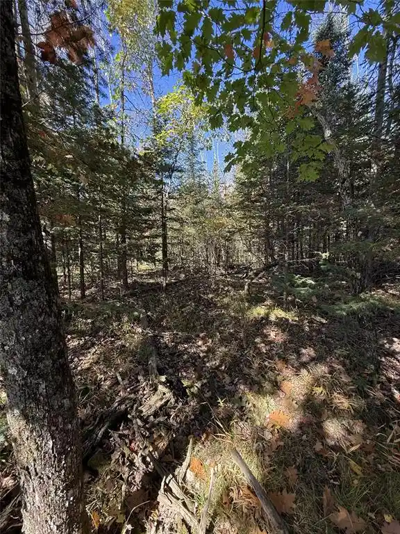 Photo 4 of Land for sale at W8794 Moonshine Aly Lot 1, Catawba, WI 54515 | MLS# 1605711 | Listing updated on 2026-10-04