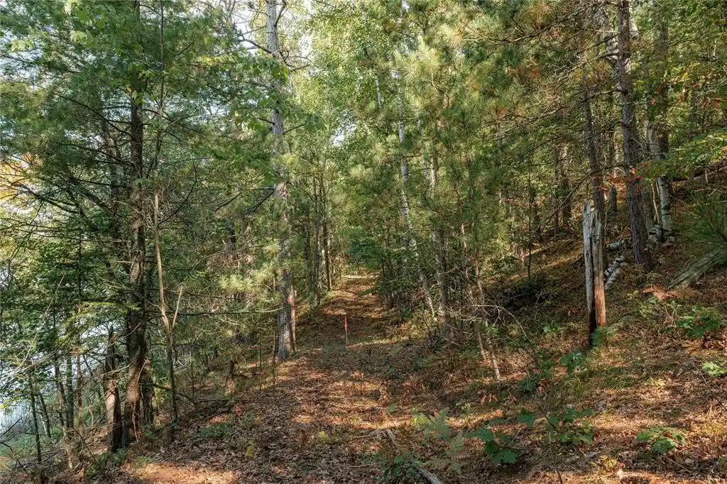 Photo 2 of Land for sale at 0 E Long Lake Rd, Iron River, WI 54856 | MLS# 1605717 | Listing updated on 2026-10-04