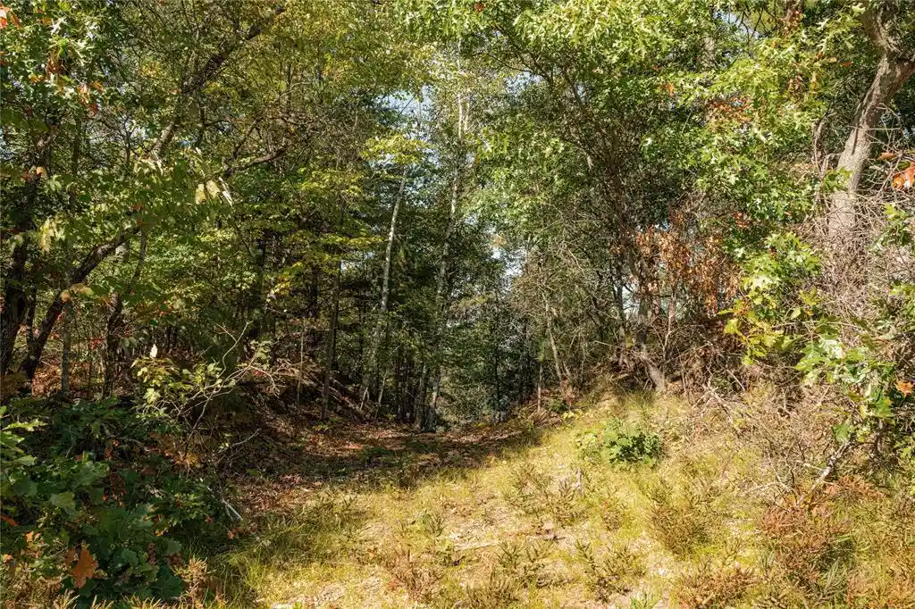 Photo 3 of Land for sale at 0 E Long Lake Rd, Iron River, WI 54856 | MLS# 1605717 | Listing updated on 2026-10-04