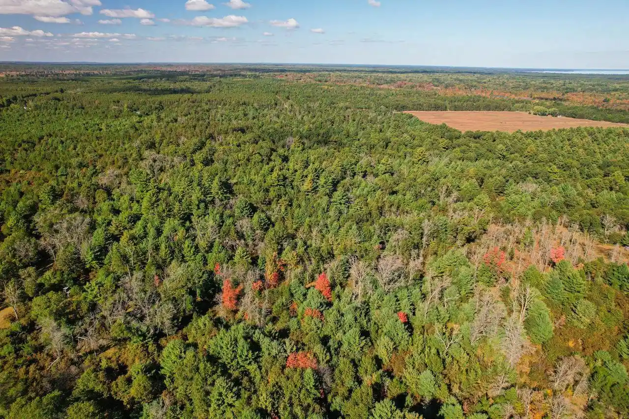 Photo 4 of Land for sale at Lot W 1 19th Street, Necedah, WI 54646 | MLS# 2033975 | Listing updated on 2026-10-04