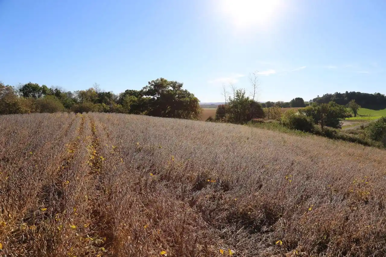 Photo 1 of Land for sale at 000 Gaslight Ave, Sparta, WI 54656 | MLS# 1983305 | Listing updated on 2026-10-05