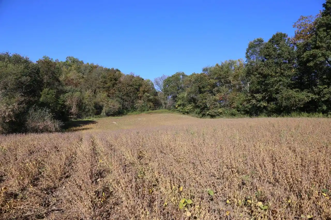 Photo 2 of Land for sale at 000 Gaslight Ave, Sparta, WI 54656 | MLS# 1983305 | Listing updated on 2026-10-05