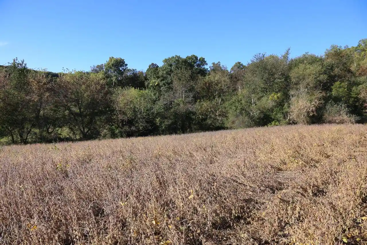 Photo 3 of Land for sale at 000 Gaslight Ave, Sparta, WI 54656 | MLS# 1983305 | Listing updated on 2026-10-05