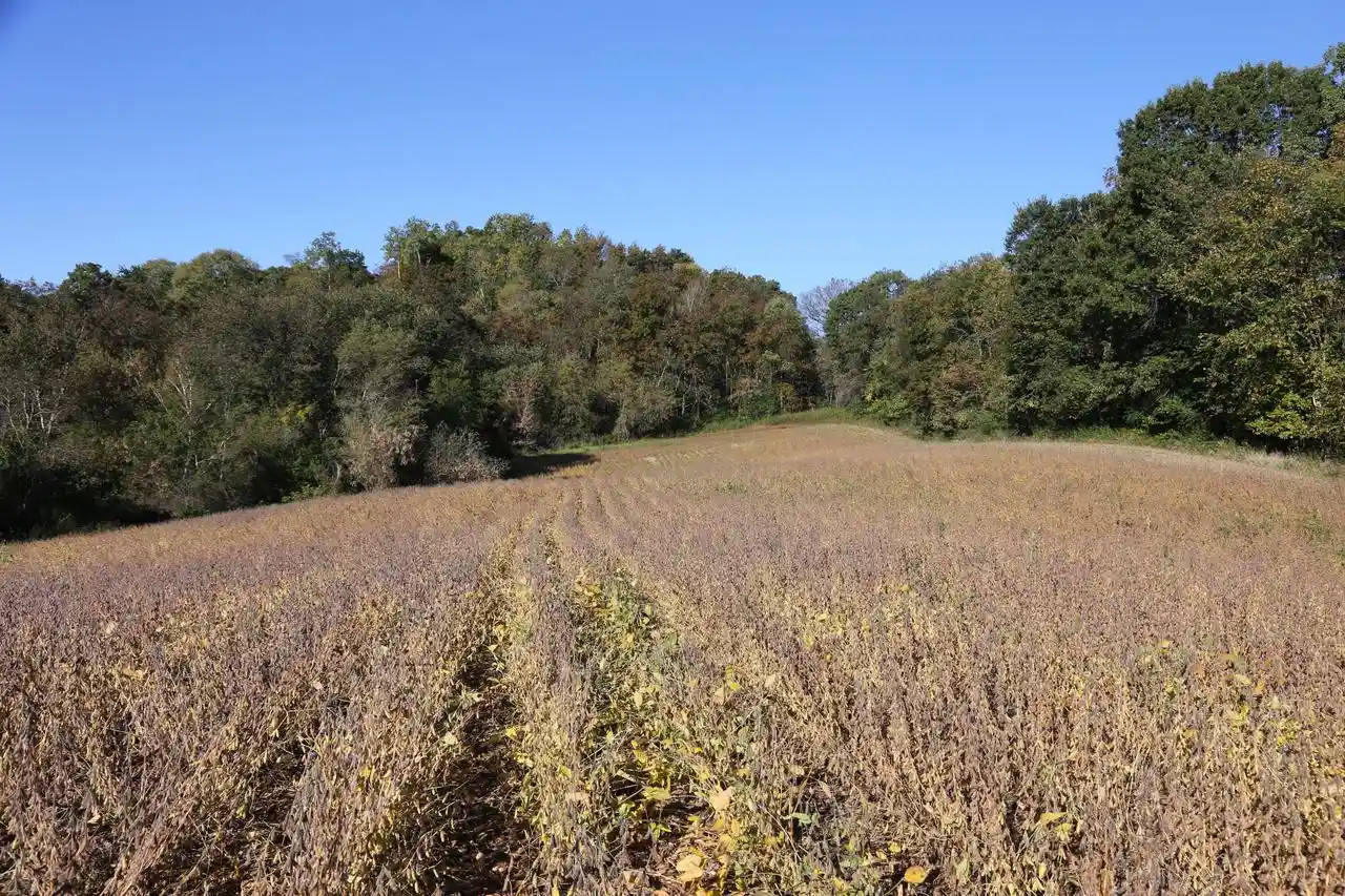 Photo 4 of Land for sale at 000 Gaslight Ave, Sparta, WI 54656 | MLS# 1983305 | Listing updated on 2026-10-05