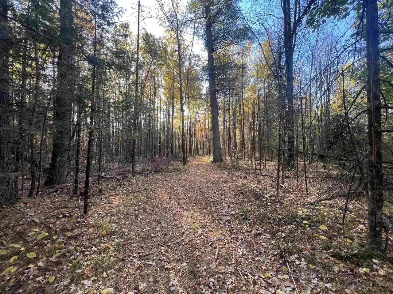 Photo 1 of Sale Pending at Old 38 Rd, Amberg, WI 54102 | MLS# 50333684 | Listing updated on 2026-10-10
