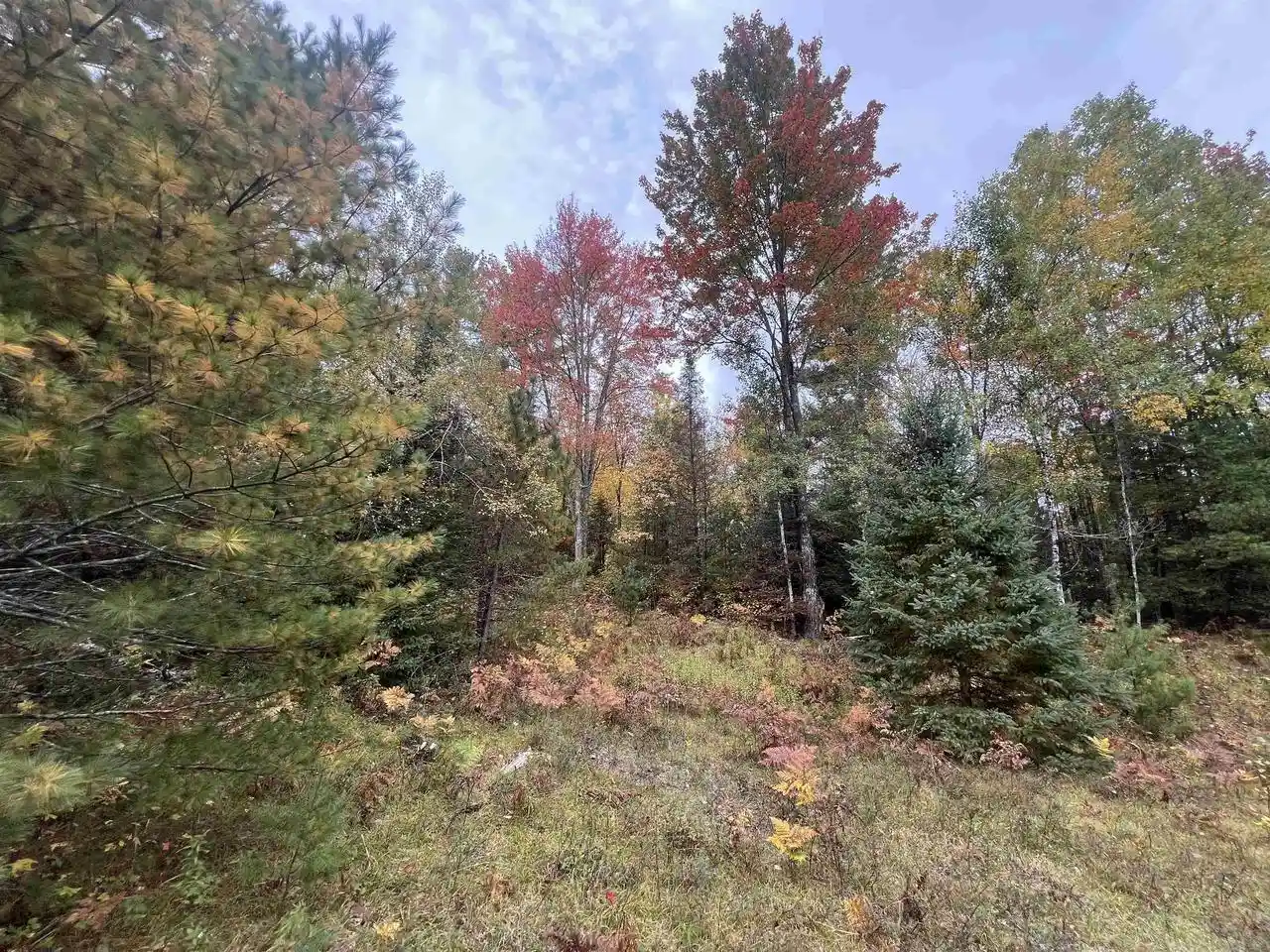 Photo 4 of Sale Pending at Old 38 Rd, Amberg, WI 54102 | MLS# 50333684 | Listing updated on 2026-10-10