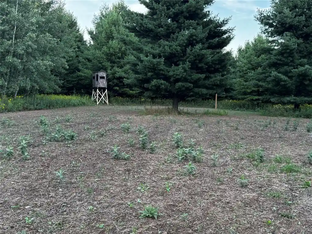 Photo 4 of Land for sale at 965 340th, Frederic, WI 54837 | MLS# 1605722 | Listing updated on 2026-10-06
