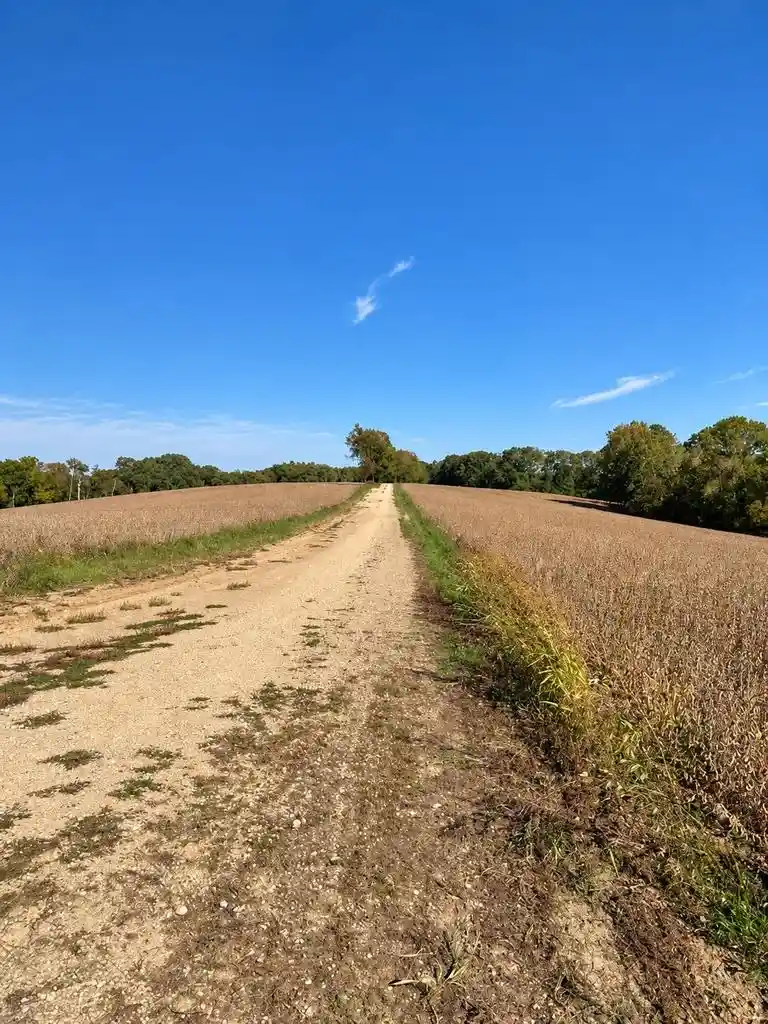 Photo 2 of Land for sale at Lot 1 Csm 12361, Black Earth, WI 53515 | MLS# 2034054 | Listing updated on 2026-10-09