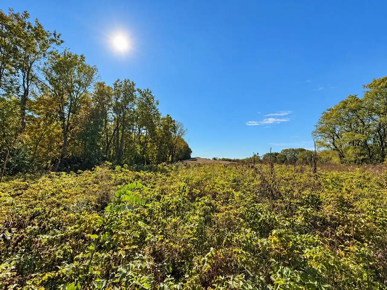 Photo 12 of Land for sale at Lot 1 Csm 12361, Black Earth, WI 53515 | MLS# 2034054 | Listing updated on 2026-10-12