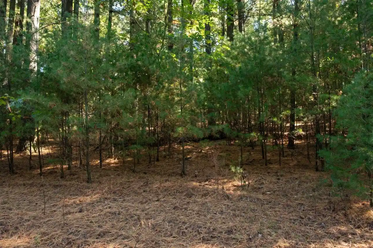 Photo 2 of Land for sale at Shady Cir Dr, Redgranite, WI 54970 | MLS# 50333775 | Listing updated on 2026-10-06