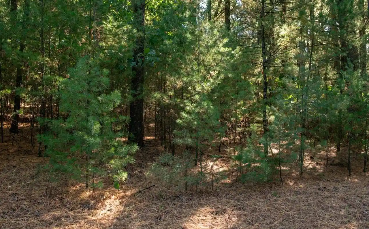 Photo 3 of Land for sale at Shady Cir Dr, Redgranite, WI 54970 | MLS# 50333775 | Listing updated on 2026-10-06