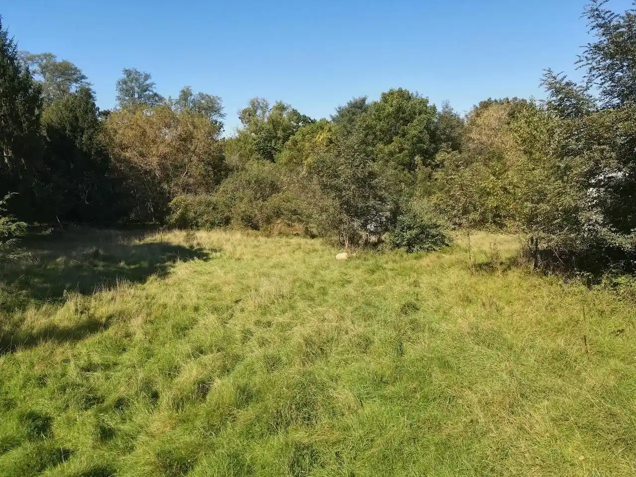 Photo 1 of Land for sale at W6001 8th Lane, Montello, WI 53949 | MLS# 2034063 | Listing updated on 2026-10-05