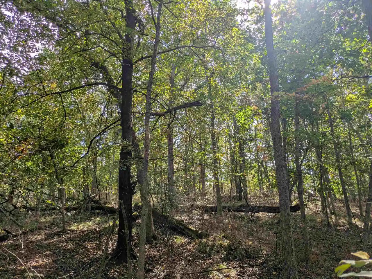 Photo 1 of Land for sale at 0 Ember Ct, Oxford, WI 53952 | MLS# 2034072 | Listing updated on 2026-10-05