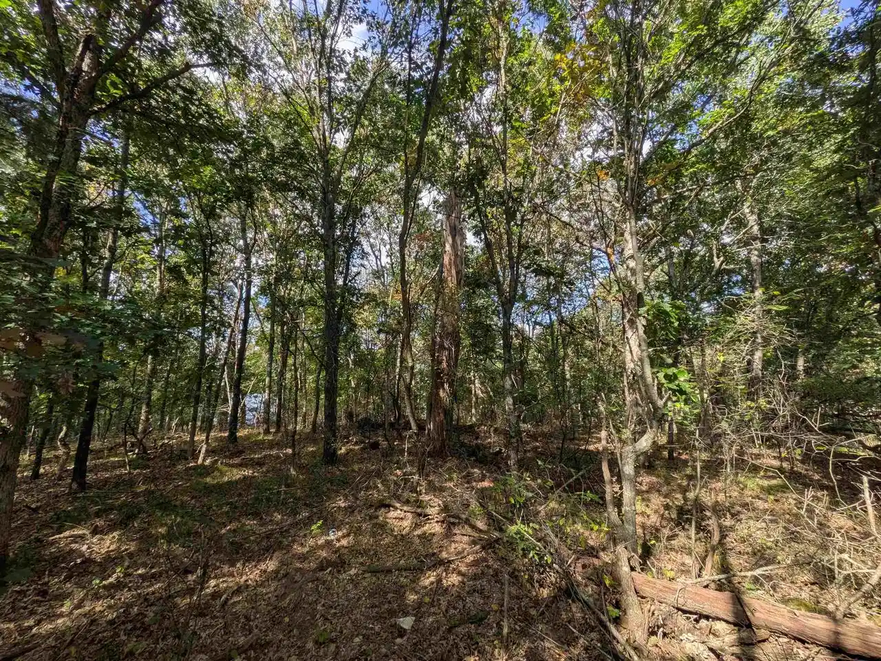 Photo 4 of Land for sale at 0 Ember Ct, Oxford, WI 53952 | MLS# 2034072 | Listing updated on 2026-10-05