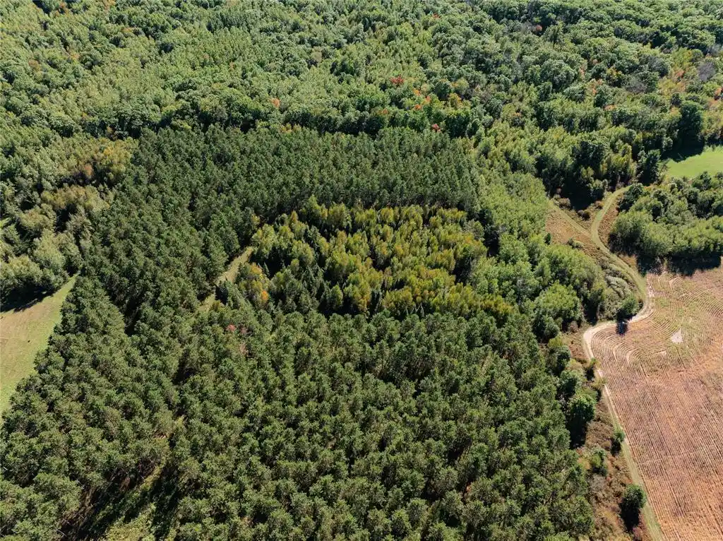 Photo 1 of Land for sale at 0 5th Avenue, Trego, WI 54888 | MLS# 1605742 | Listing updated on 2026-10-05