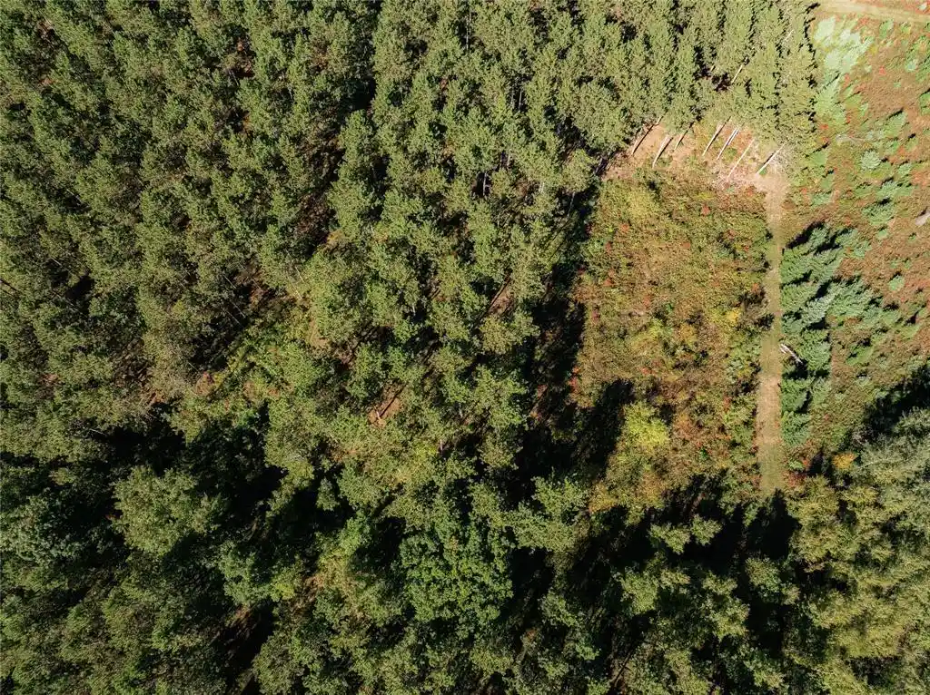Photo 3 of Land for sale at 0 5th Avenue, Trego, WI 54888 | MLS# 1605742 | Listing updated on 2026-10-05