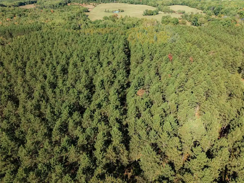 Photo 3 of Land for sale at 0 5th Avenue, Trego, WI 54888 | MLS# 1605742 | Listing updated on 2026-10-05