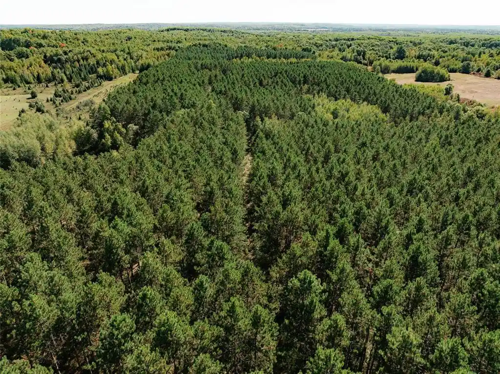 Photo 4 of Land for sale at 0 5th Avenue, Trego, WI 54888 | MLS# 1605742 | Listing updated on 2026-10-05