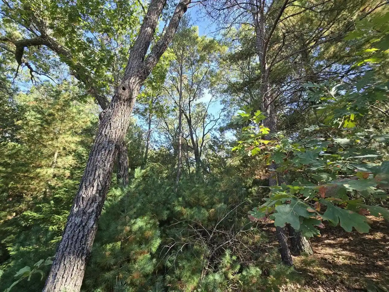 Photo 2 of Land for sale at On Leona St #Lot 20/21, Friendship, WI 53934 | MLS# 22604958 | Listing updated on 2026-10-06