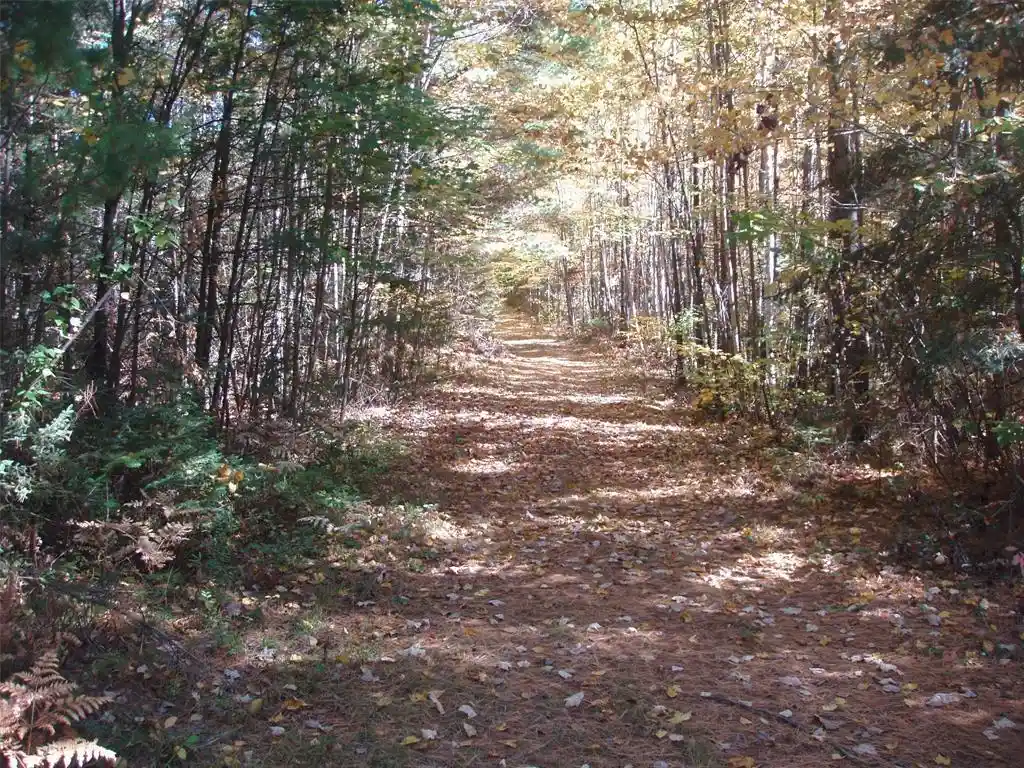 Photo 1 of Land for sale at 40+/  Acres Off Brimstein Rd, Park Falls, WI 54552 | MLS# 1605683 | Listing updated on 2026-10-06