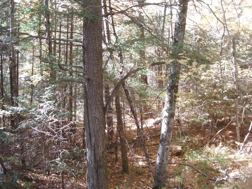 Photo 2 of Land for sale at 40+/  Acres Off Brimstein Rd, Park Falls, WI 54552 | MLS# 1605683 | Listing updated on 2026-10-06