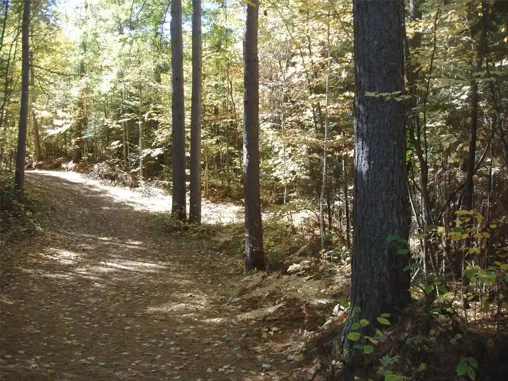 Photo 3 of Land for sale at 40+/  Acres Off Brimstein Rd, Park Falls, WI 54552 | MLS# 1605683 | Listing updated on 2026-10-06