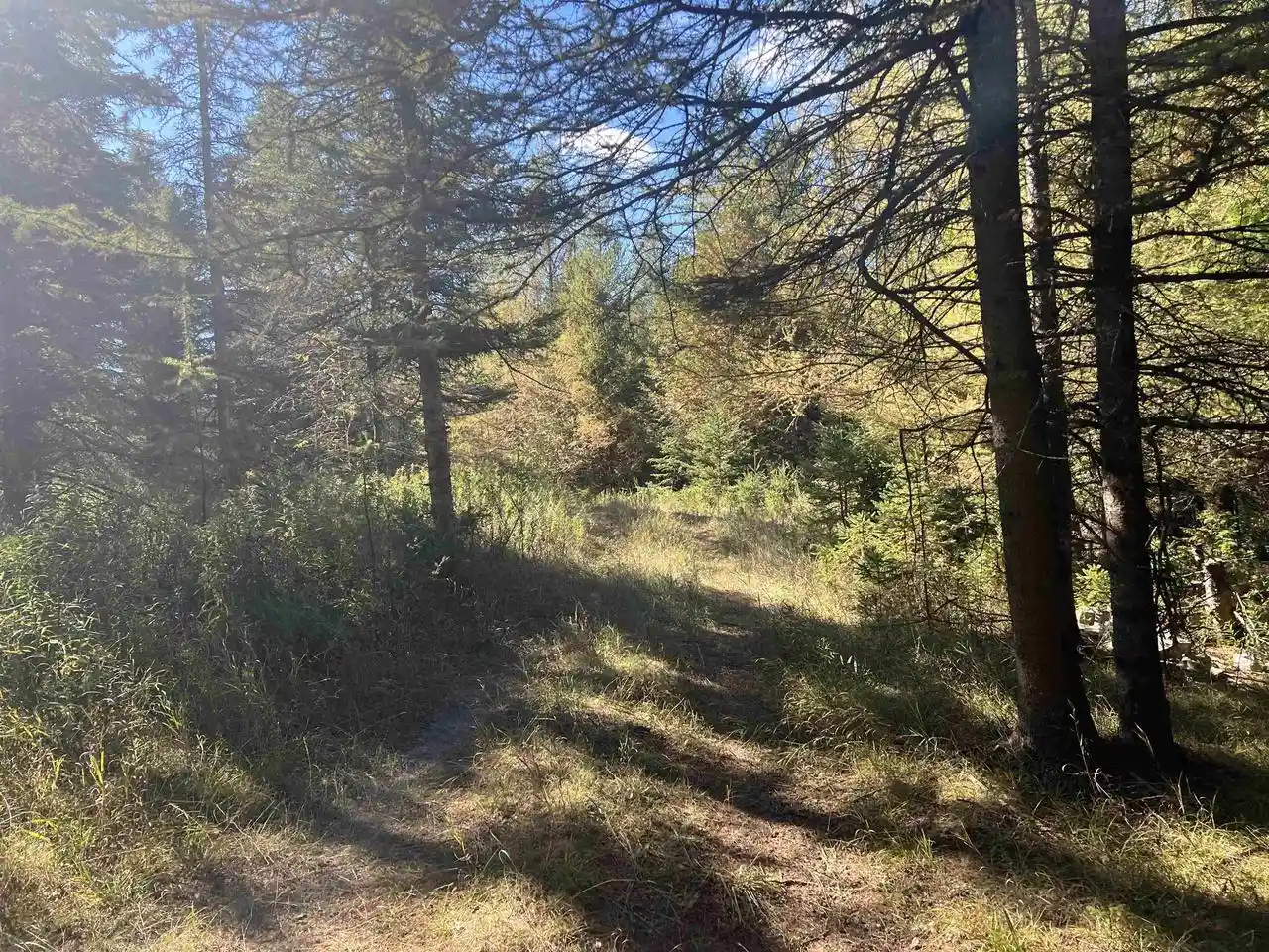 Photo 2 of Sale Pending at Badish Rd, Daggett, MI 49821 | MLS# 50333804 | Listing updated on 2026-10-08