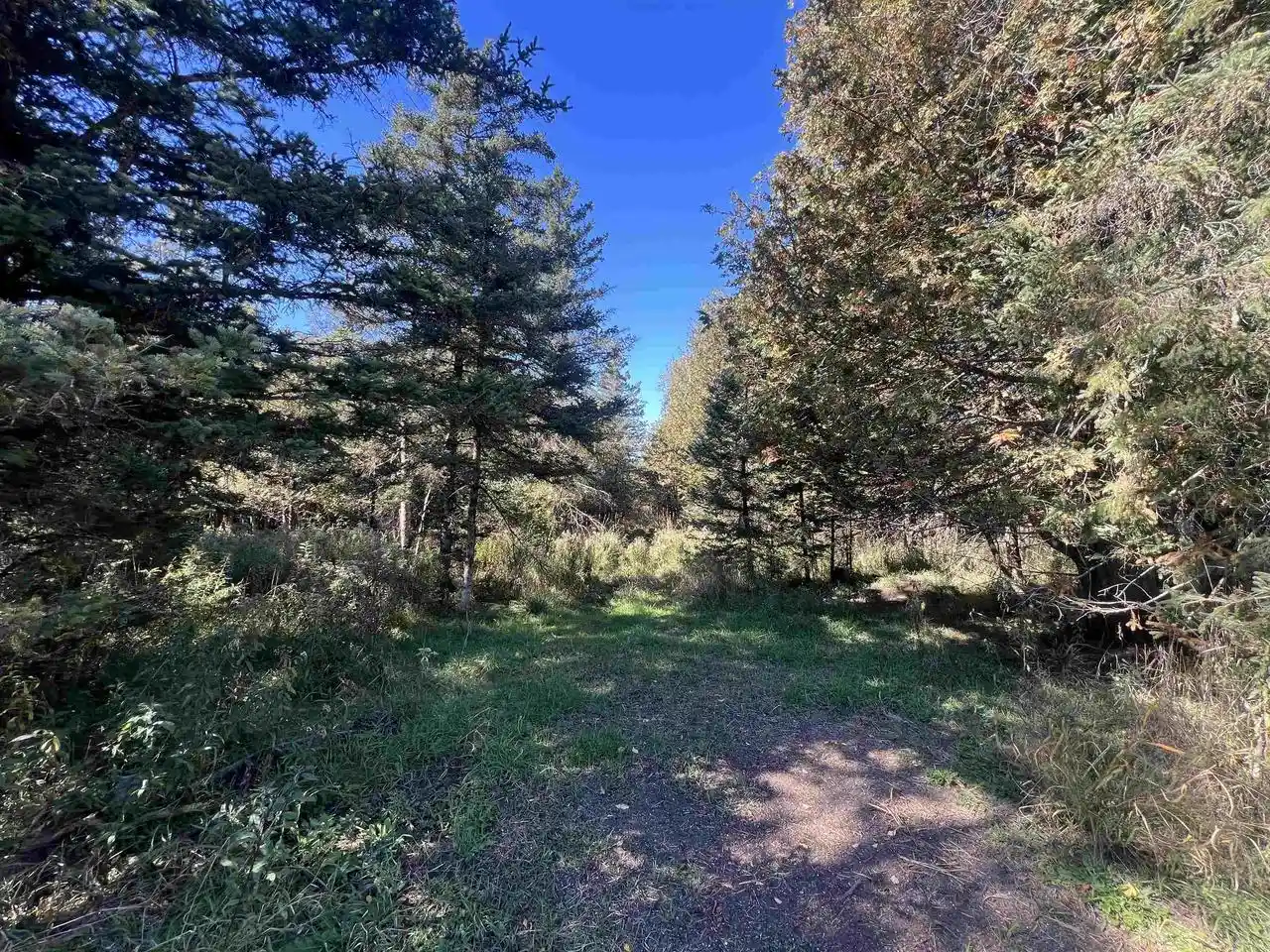 Photo 3 of Sale Pending at Badish Rd, Daggett, MI 49821 | MLS# 50333804 | Listing updated on 2026-10-08