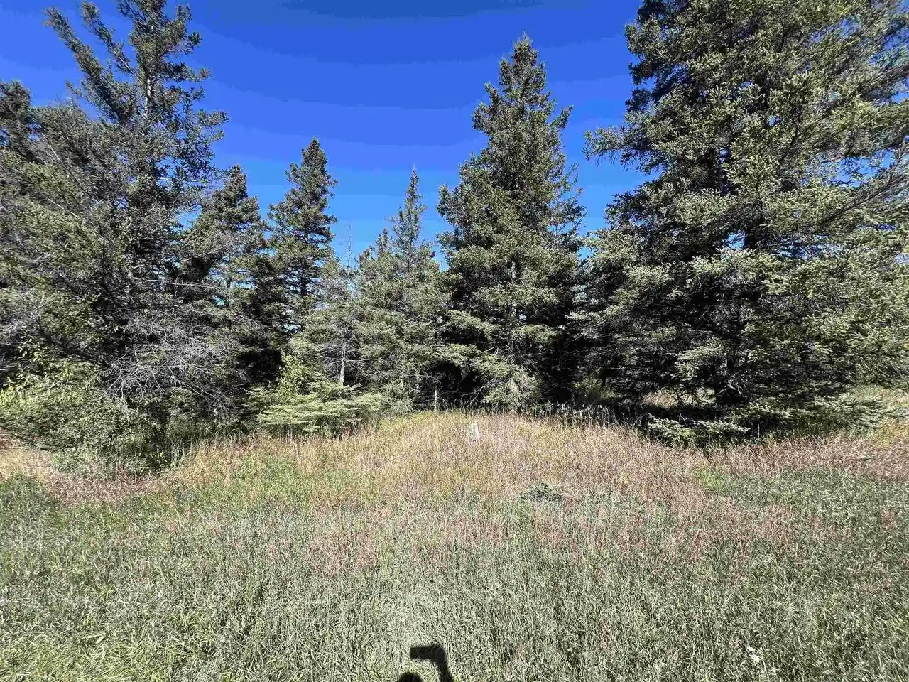 Photo 3 of Sale Pending at Badish Rd, Daggett, MI 49821 | MLS# 50333804 | Listing updated on 2026-10-08