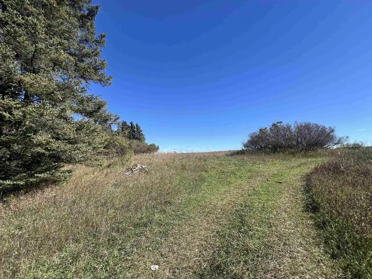 Photo 4 of Sale Pending at Badish Rd, Daggett, MI 49821 | MLS# 50333804 | Listing updated on 2026-10-08