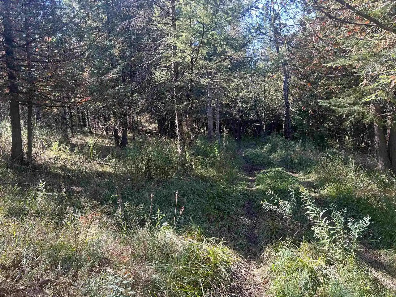 Photo 13 of Sale Pending at Badish Rd, Daggett, MI 49821 | MLS# 50333804 | Listing updated on 2026-10-08