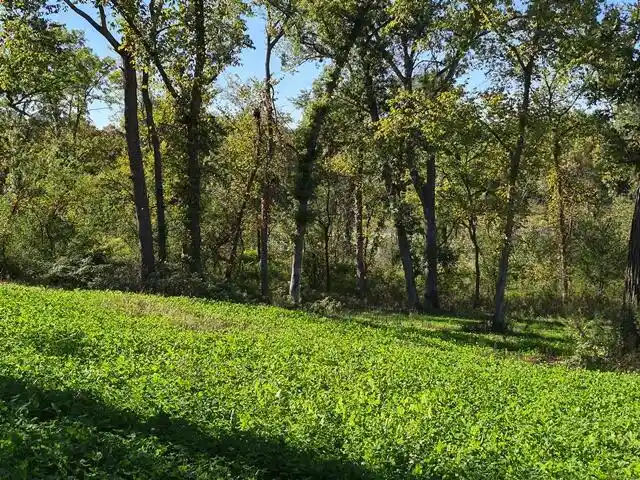 Photo 2 of Land for sale at 0 N Bryant Rd, Fort Atkinson, WI 53538 | MLS# 1983546 | Listing updated on 2026-10-07