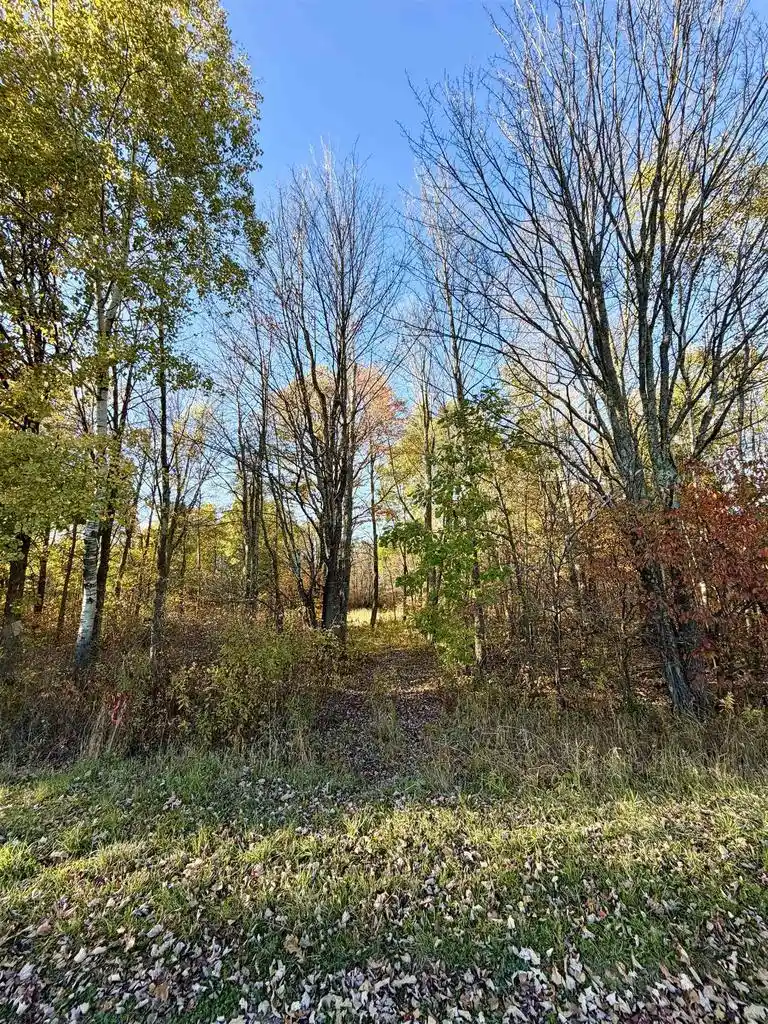 Photo 2 of Land for sale at Pennington Rd, Prentice, WI 54556 | MLS# 22604960 | Listing updated on 2026-10-14