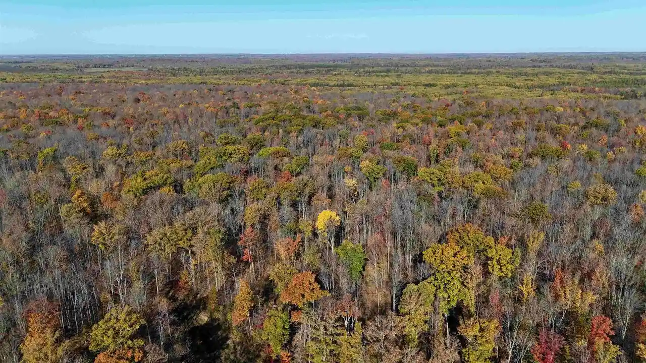 Photo 4 of Land for sale at Pennington Rd, Prentice, WI 54556 | MLS# 22604960 | Listing updated on 2026-10-14