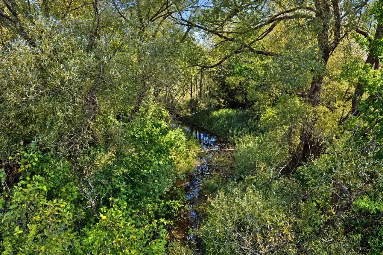 Photo 3 of Land for sale at Jefferson St, Algoma, WI 54201 | MLS# 50333829 | Listing updated on 2026-10-06
