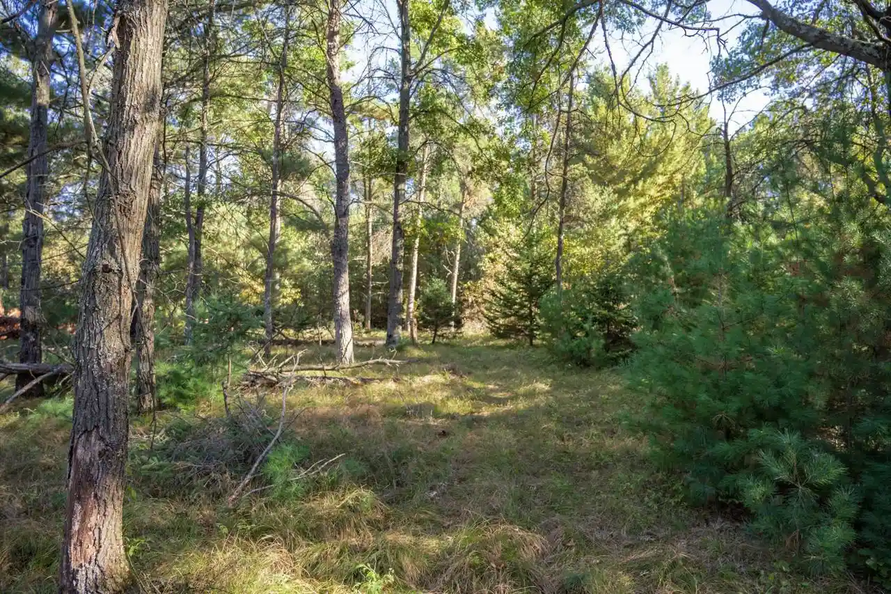 Photo 3 of Land for sale at N8030 N Shore Dr, New Lisbon, WI 53950 | MLS# 2034108 | Listing updated on 2026-10-08
