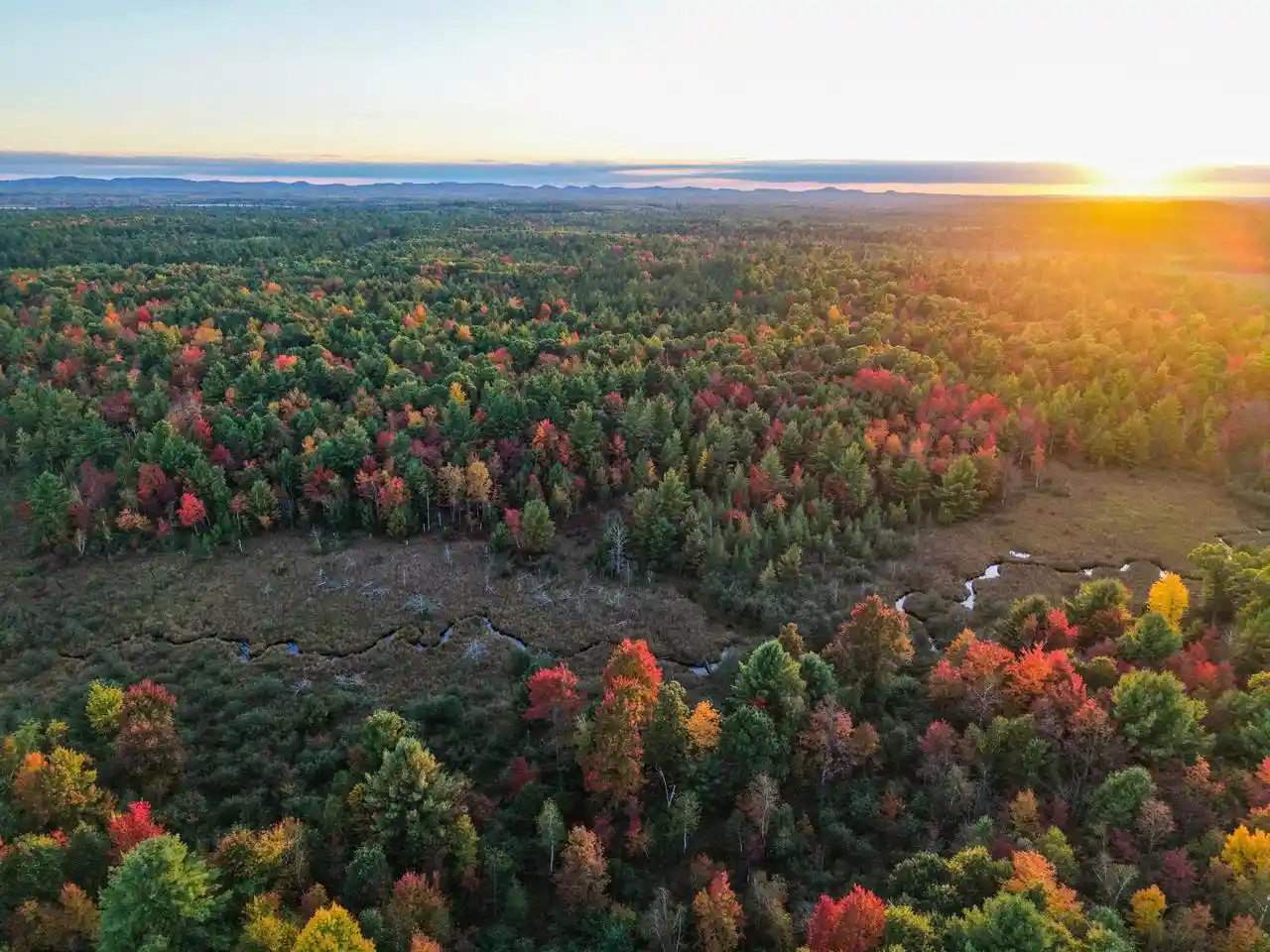 Photo 1 of Land for sale at 000 Mckenna Rd, Warrens,warrens, WI 54666 | MLS# 2034127 | Listing updated on 2026-10-06