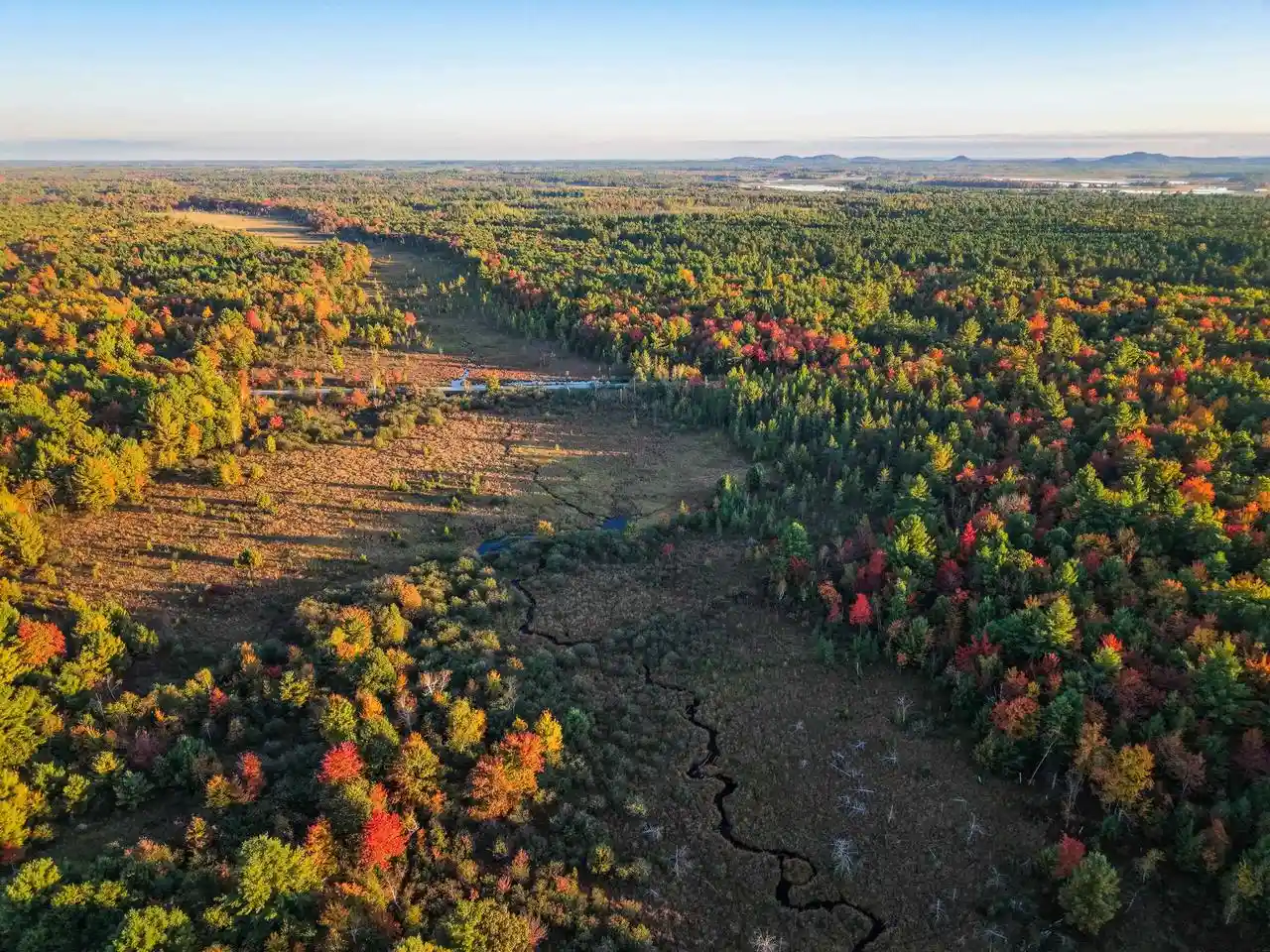 Photo 2 of Land for sale at 000 Mckenna Rd, Warrens,warrens, WI 54666 | MLS# 2034127 | Listing updated on 2026-10-06